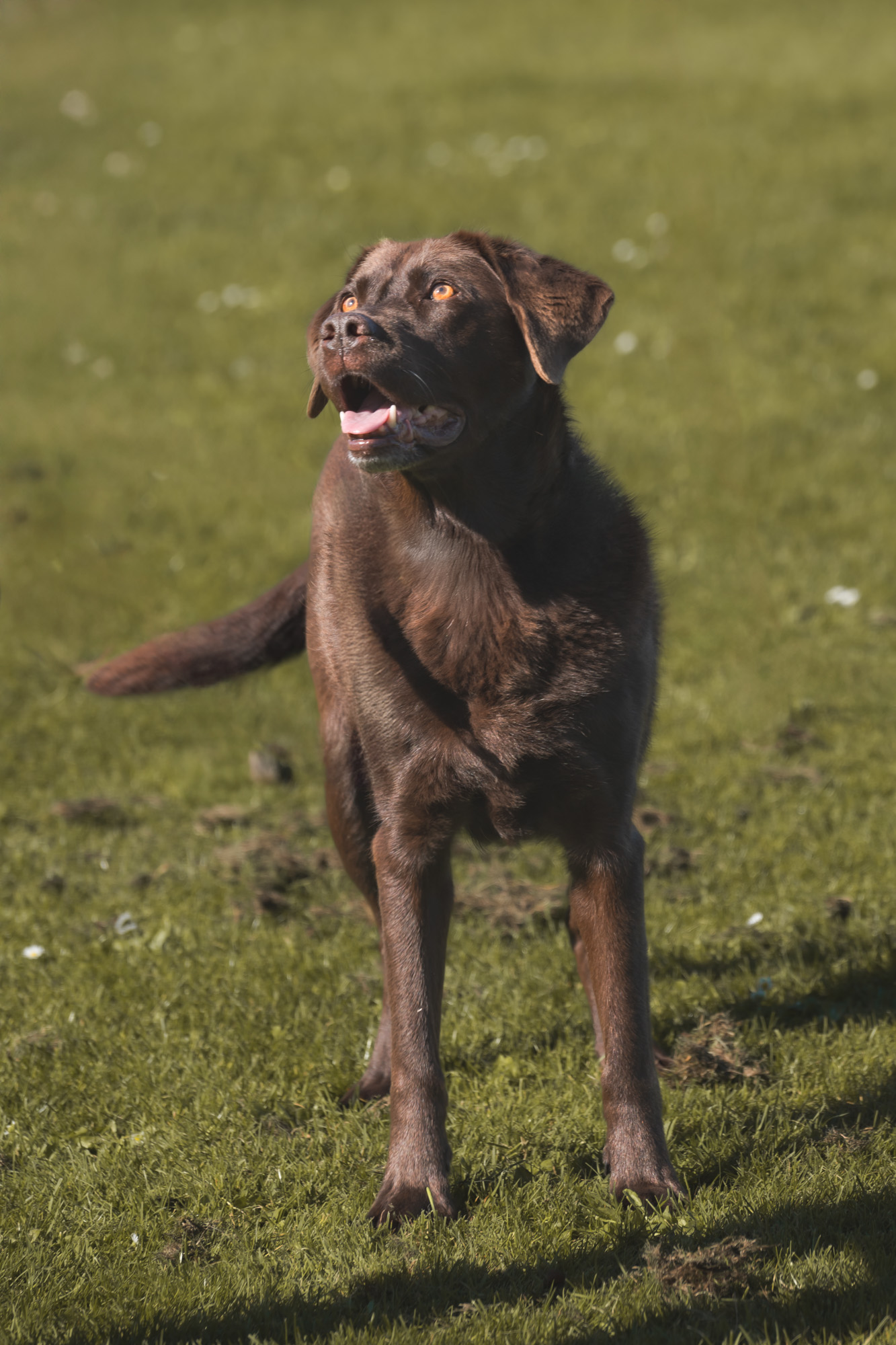 A7404796zitahubback.jpg